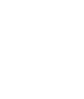 Finer-Group_logo